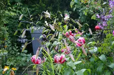 DSC05893.webp