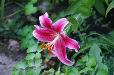 DSC05894.webp