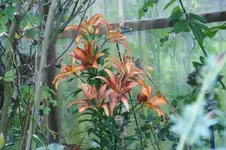 DSC05897.webp