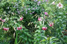 DSC05901.webp