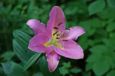 DSC05903.webp