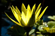 7D+40D (89 von 195).webp