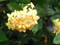P1110234.webp