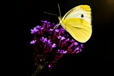7D+40D (149 von 195).webp