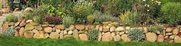 Steinmauer an Hangbeet.webp