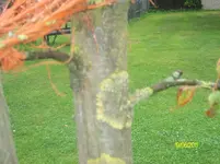 ALIM2297.webp