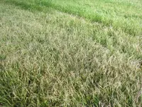 IMG_1018.webp