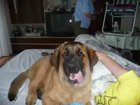 joe mit sabrina 011.webp