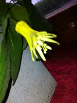 003.webp