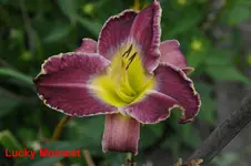 DSC_2759.webp