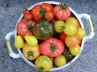 BILD0089.webp
