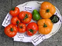 BILD0091.webp