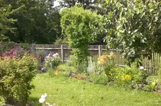Garten Juli3 002.webp