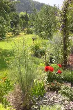 Garten Juli3 003.webp