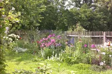 Garten Juli3 004.webp