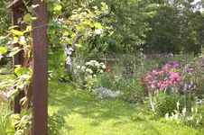 Garten Juli3 005.webp
