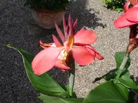 DSC06070.webp