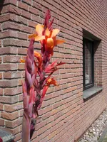 DSC06073.webp