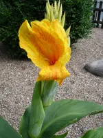 DSC06074.webp