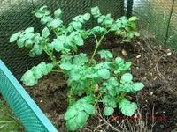 CIMG2872.webp
