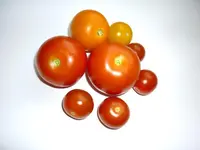 Ernte27072011.webp
