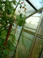P1040204.webp