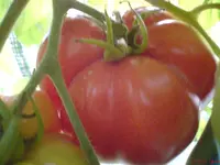 DSC01144.webp