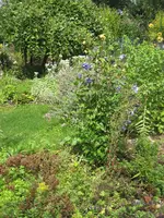 IMG_5566.webp