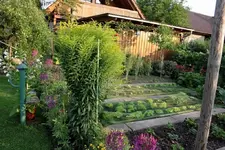 Gemüsegarten (2).webp