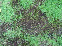 Bild 012.webp