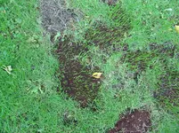 Bild 011.webp