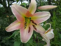 014.webp