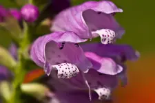 28.7.11 (5 von 35).webp