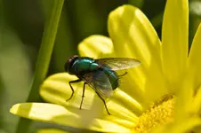 28.7.11 (11 von 35).webp