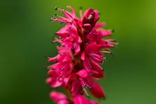 28.7.11 (34 von 35).webp