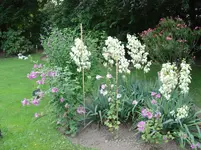 Bild 005.webp