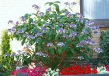 DSC04634 - Kopie.webp
