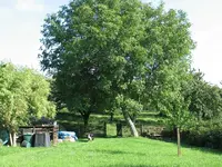 IMG_0002.webp IMG_0002.webp