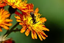 28.7.11 (4 von 35).webp