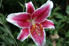 DSC05912.webp