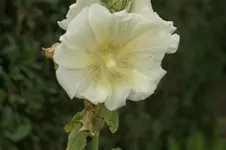 DSC05906.webp