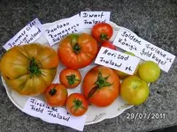 BILD0102.webp