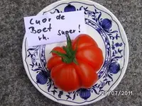 BILD0104.webp