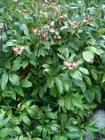 Foto1.webp