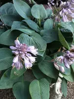 Foto2.webp