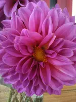 Foto3.webp