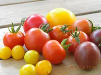 DSCN0649.webp