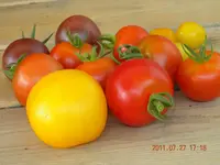 DSCN0650.webp