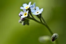29.7.11 7D (57 von 59).webp