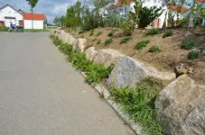 2011_07_29_0000.webp